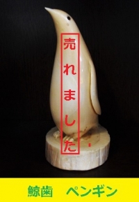 鯨歯　ペンギン1