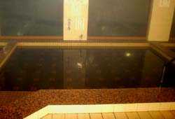 古樹の湯（ぬるめのお湯）