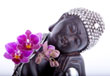 Yoga studio Natural flow