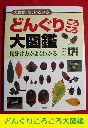 プレミア本 PHP研究所 どんぐりころころ大図鑑 監修/星野義延 写真/飯村茂樹 文/岡崎務