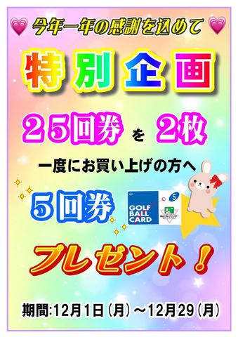 ✰12月特別企画のご案内✰