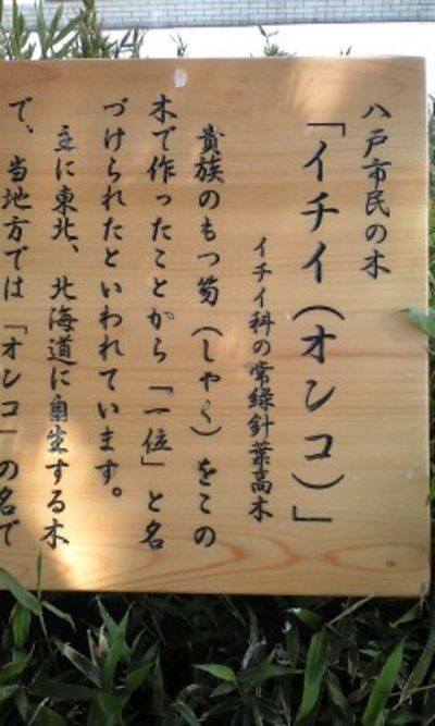 初めて知った。