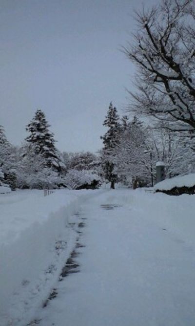 “八戸らしからぬ……。”