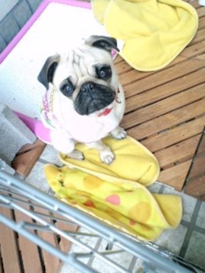 かわいいなぁ