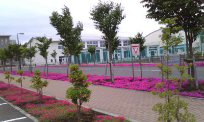 八戸Ｋ高校