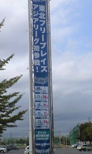 “東北フリーブレイズ”