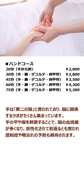 ハンドコース